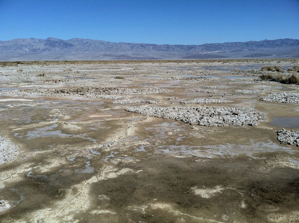 Looking out across Cottonball Marsh, you can see that small ponds (or pools of water) are visible all over the place: